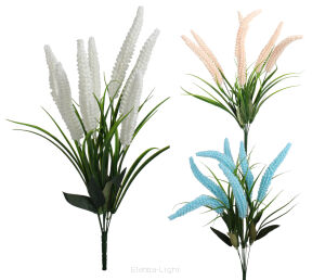 Liriope bukiet'7 50cm KWO2420