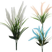 Liriope bukiet'7 50cm KWO2420