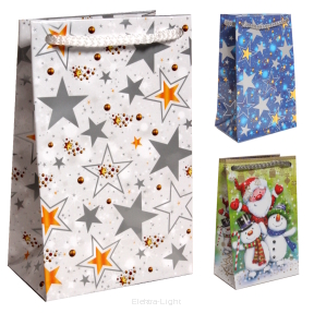 Torebka Bożonarodzeniowa ozdobna T-5L 10x16x6cm PAW wybór wzoru losowo
