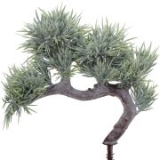 Bonsai 124CAN101MX 21cm