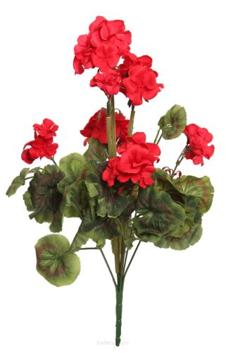 Bukiet pelargonii FYTX003 43cm