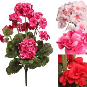 Bukiet pelargonii FYTX003 43cm