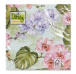 SDOG029001 Orchidea i Monstera