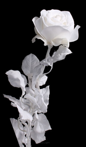 Róża pojedyncza VELVET PS013748V 83cm