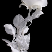 Róża pojedyncza VELVET PS013748V 83cm