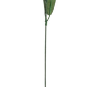 Irys na łodydze KWM085 50cm