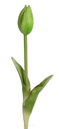 Tulipan gumowy KDGK25 45cm