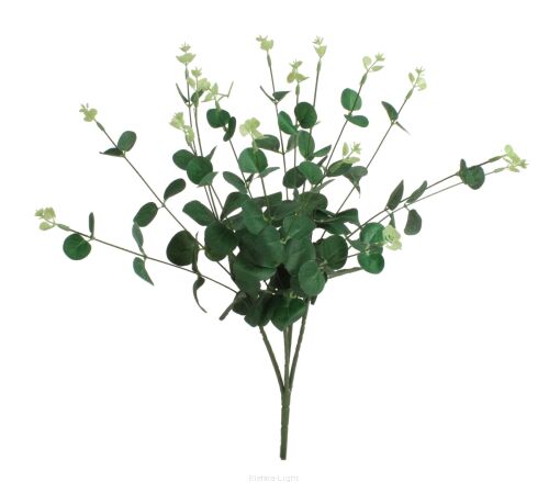 Eukaliptus P155-20-8 5cm
