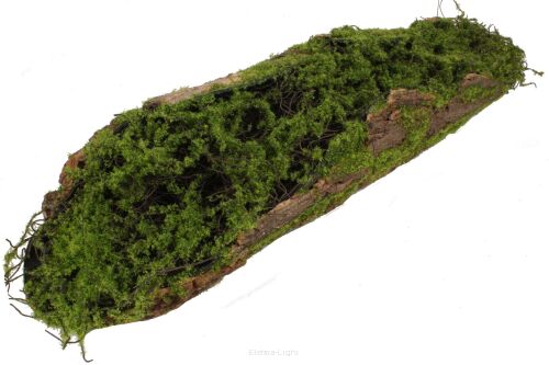 Omszała kora 66cm 263CAN20W28
