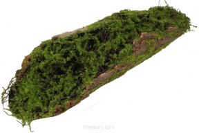 Omszała kora 66cm 263CAN20W28