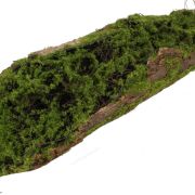Omszała kora 66cm 263CAN20W28