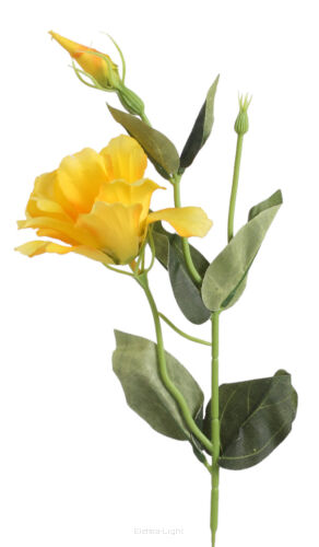 Eustoma gałązkowa EU53 56cm