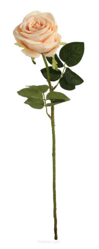 Róża pojedyncza welur 58cm KWO2297