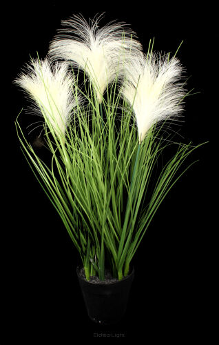 Trawa ozdobna w doniczce CV17510 45cm