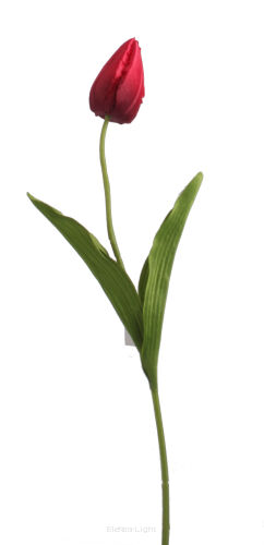 Tulipan na łodydze L160 50cm