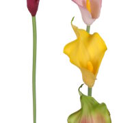 Kalia gumowa KDGK23 48cm