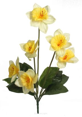 Bukiet żonkili'6 FMC073873 59cm