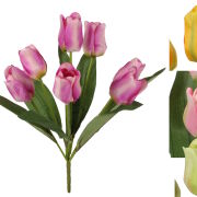 Bukiet 7 tulipanów KDGT96 45cm