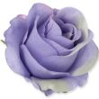 fioletowy jasny BL259