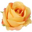 herbaciany #XYYE452
