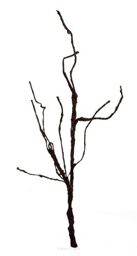 Gałąź ozdobna KORZEŃ PNĄCZE CV13602 60cm