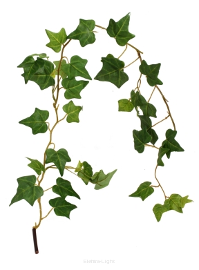 Bluszcz pospolity hedera girlanda 114cm 254CAN16005