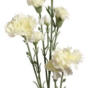 Goździk gałązkowy '7 MA0248 62cm