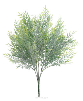 Bukiet cedru KWE592-2