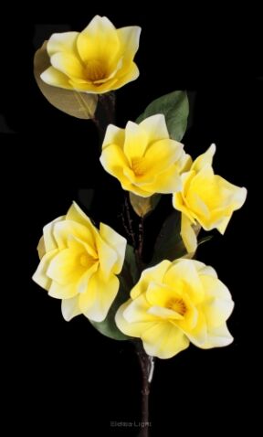 Magnolia gumowa 100cm JT013
