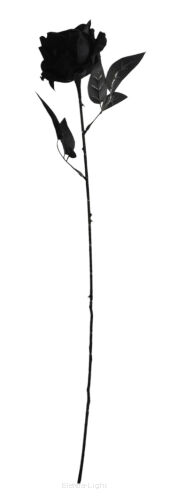 Róża gałązkowa KDGH13 black "63cm"