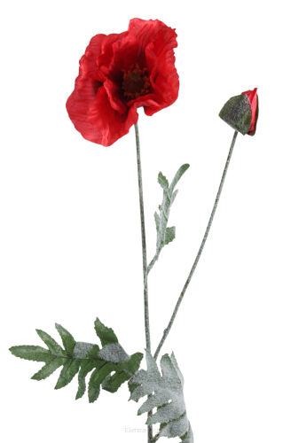 Mak omszała gałązka KDGK158 h70cm/ ⌀13cm