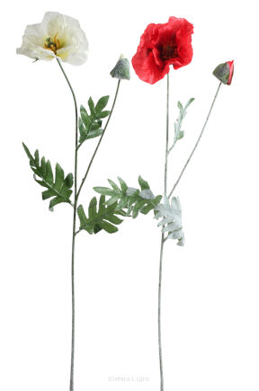 Mak omszała gałązka KDGK158 h70cm/ ⌀13cm