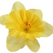Żonkil wyrobowy (bez łodygi) 11cm KWX050