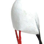 Bocian 241896-10CM