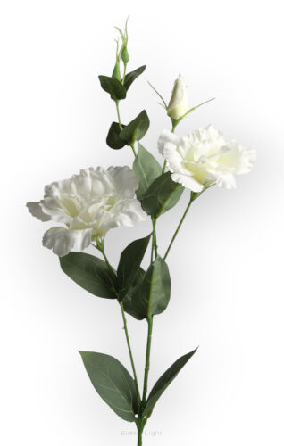 Eustoma T137-24-1793 h80cm