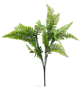 Bukiecik paproci KWO356 40cm