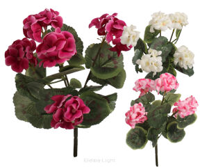 Pelargonia YX05-126 34cm