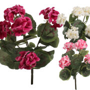 Pelargonia YX05-126 34cm