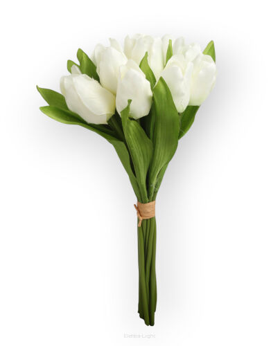 Tulipan T97-24 