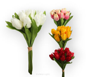 Tulipan T97-24 "12"  "33 cm "