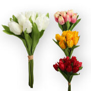 Tulipan T97-24 "12"  "33 cm "