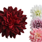 Dalia wyrobowa M3712 ø10cm