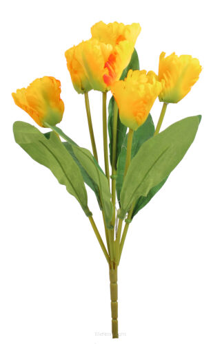 Bukiet tulipan x7 TF530 43cm