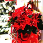 "Nasz Dom i Ogród - Flora" listopad-grudzień 2016