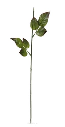 Łodyga do róży 3CLB20 60cm (498917)