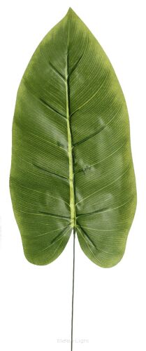 Liść kalii 60cm KDG59