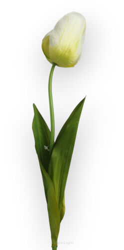 Tulipan L319 h70cm