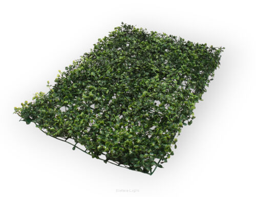 Mata bukszpanowa 40x60cm TZM18M18-L
