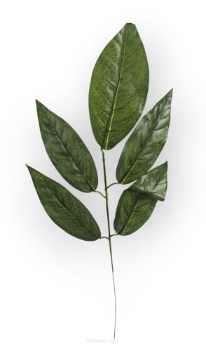 Liść mango VIP6115 h55cm