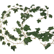 Girlanda bluszcz hedera FCF209 175cm